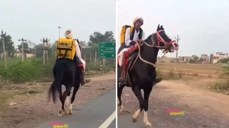 राजस्थान में घोड़े पर Blinkit बैग टांगे दिखे बुजुर्ग, वीडियो हुआ वायरल