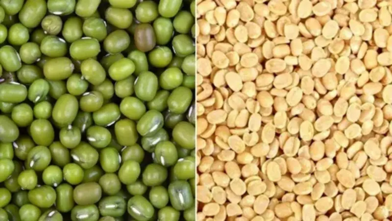 इन लोगों को लोगों भूल से भी नहीं खाना चाहिए मूंग की दाल, सेहत को हो सकते हैं भयंकर नुकसान