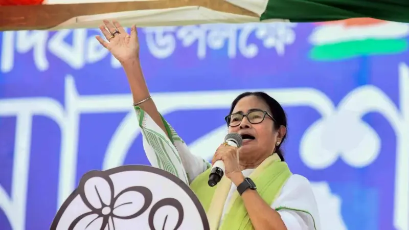 হেলিকপ্টারে ধাক্কা লাগলে প্রাণ যেত, ড্রোন-কাণ্ডে বিস্ফোরক মমতা, ভোটের মুখে চাঞ্চল্য
