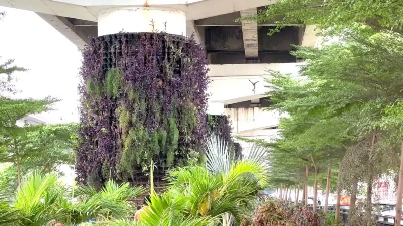 Greening the concrete: Vijayawada transforms flyover pillars into vertical gardens