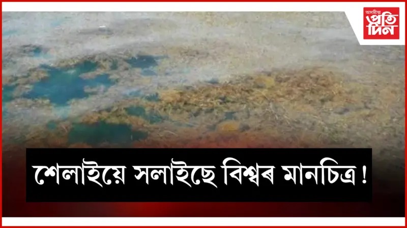 গ্ৰেট আটলাণ্টিক ছাৰ্গাছম বেল্টক লৈ চিন্তিত সমগ্ৰ বিশ্ব