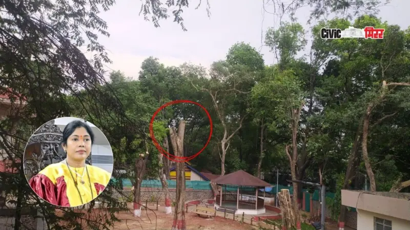Pune | महापौरांचीच केली दिशाभूल, महापौर बंगल्यातील झाडांच्या कत्तली प्रकरणी आयुक्तांकडून कारवाईचा बडगा.