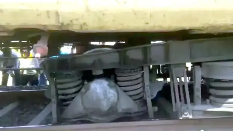 Seoni Train Accident: सिवनी में बड़ा रेल हादसा टला!  नैनपुर-खैररांजी के बीच पटरी से उतरी शहडोल-नागपुर एक्सप्रेस