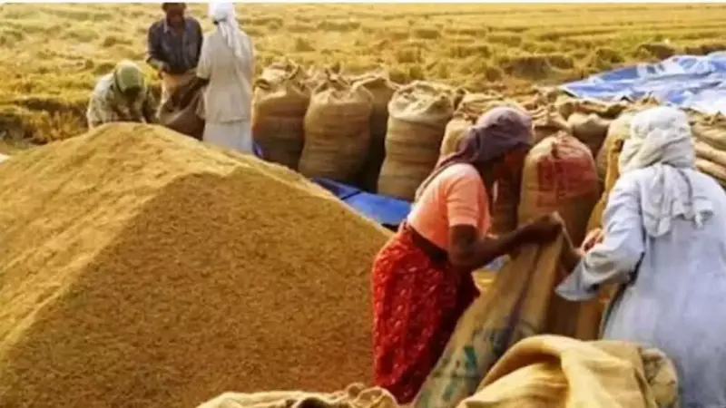 Excess paddy, rice stocks haunt TG govt