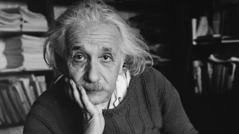 Quote of the day by Albert Einstein: 'Learn from yesterday, live for today, hope for tomorrow'