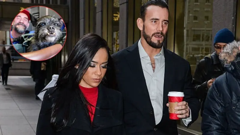 'Devastated' CM Punk and AJ Lee Mourn Their Pet Larry's Unfortunate Demise with a Gut-Wrenching note