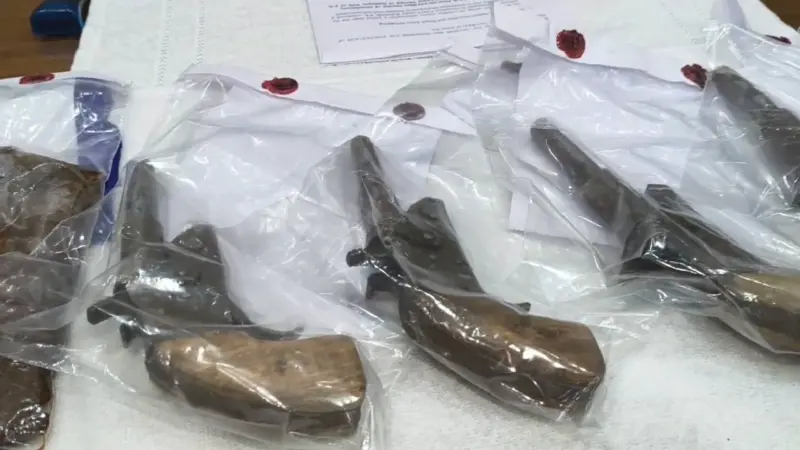 Illegal Arms Recovery: মুঙ্গের থেকে আনা অস্ত্রের যোগ? উদ্ধার ৮ আগ্নেয়াস্ত্র ও বিপুল ব্রাউন সুগার