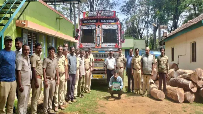 Karnataka forest officials bust smuggling racket, seize timber worth Rs 28L