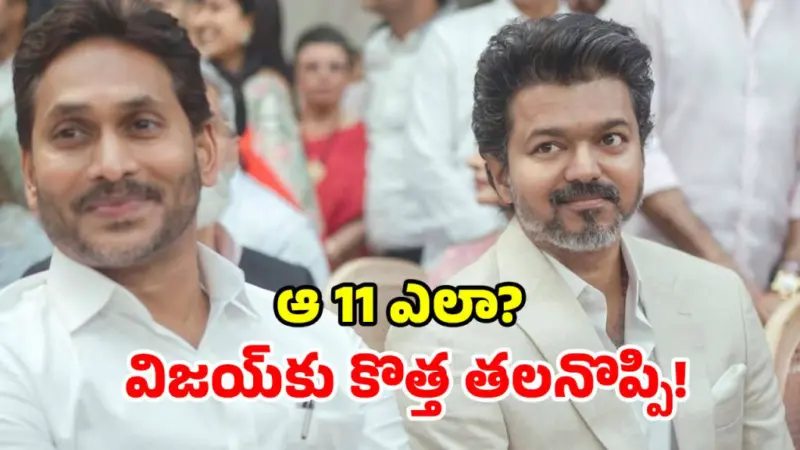 Vijay Alliance Buzz: విజయ్ను వెంటాడుతోన్న 11.. సింహం సీఎం కావాలంటే, పొత్తే దిక్కు!