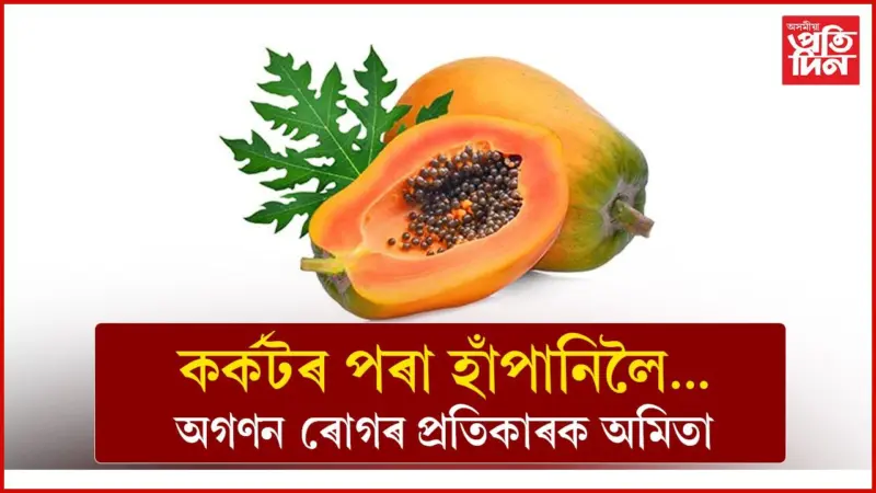 Papaya Health Benefits: ফল নহয় যেন ঔষধহে...