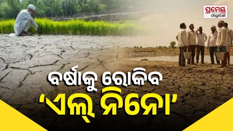 ୨୦୧୫ ପରେ ସବୁଠୁ ବଡ଼ ମରୁଡ଼ି ଭୟ, ବଢିଲା ଫସଲହାନି ଓ ଜଳ ସଙ୍କଟ ଚିନ୍ତା