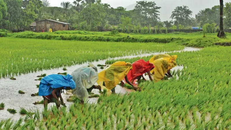 A drier monsoon is on the way: IMD predicts below-normal rains this year