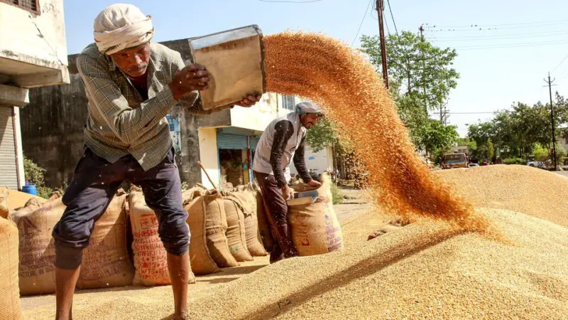 As war hits trade, Bihar, UP wheat farmers take to border routes