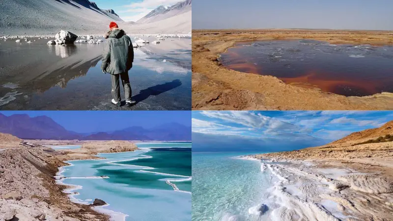 இயற்கையின் விசித்திரம்: உலகின் அதிக உப்புத்தன்மை கொண்ட ஏரிகள்!