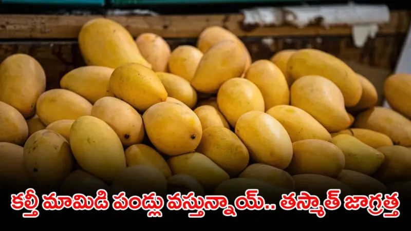 కల్తీ మామిడి పండ్లు వస్తున్నాయ్.. తస్మాత్ జాగ్రత్త!