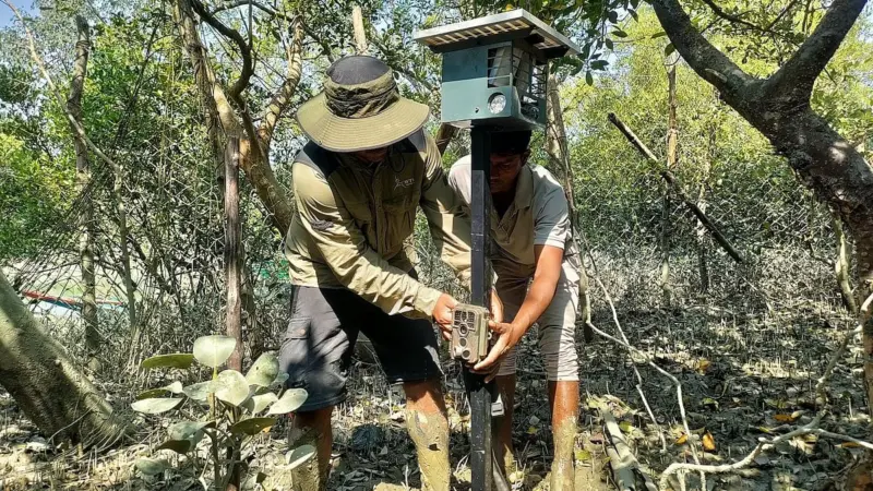 Early detection system to reduce conflicts in Sundarbans