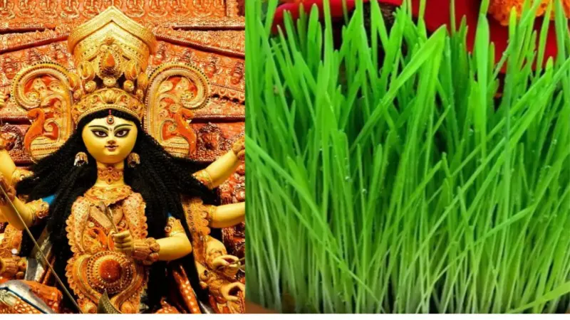 चैत्र नवरात्रि 2026: कलश स्थापना के साथ क्यों बोया जाता है जौ? जानिए इसकी असली वजह और धार्मिक महत्व