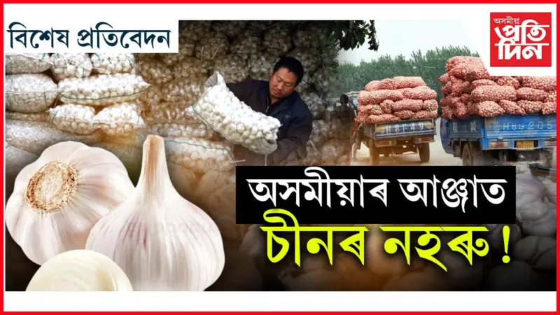 দেখাত ধুনীয়া 'চীনা নহৰু'য়ে আপোনাক কৰিব ঘূণীয়া!