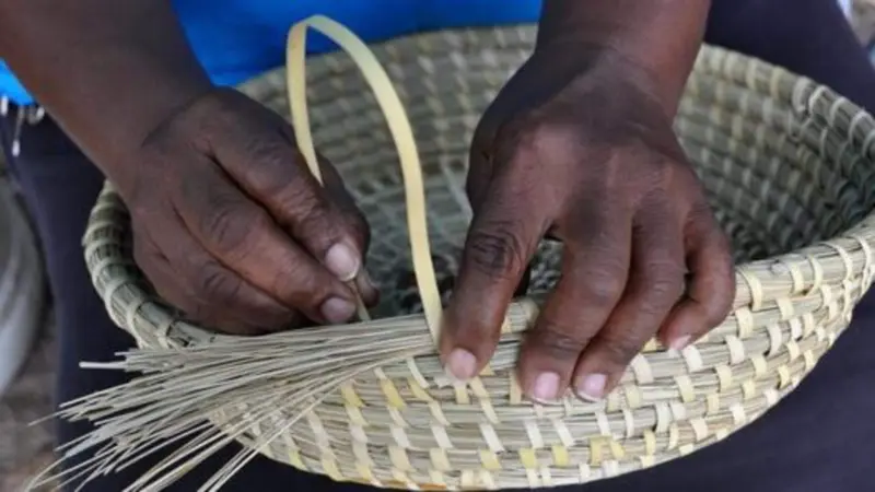 A glimpse into traditional basket weaving