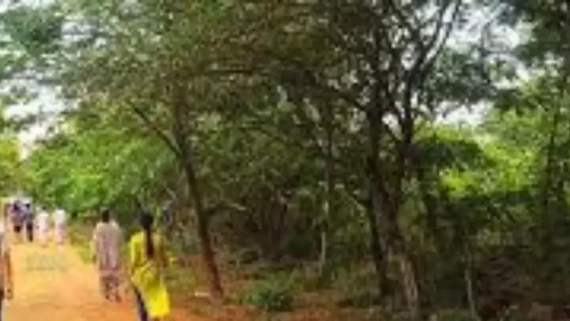 Breaking : కేబీఆర్ పార్కు పనులపై సుప్రీంకోర్టు స్టే