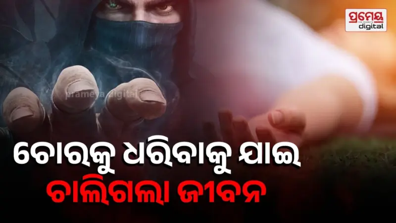 ଚୋରକୁ ଧରିବାକୁ ଯାଇ ଛାତରୁ ପଡ଼ି ଚାଳିଗଲା ଜୀବନ