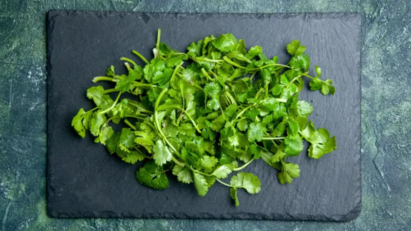 How To Keep Your Coriander Fresh For Up To 2 Weeks Easily