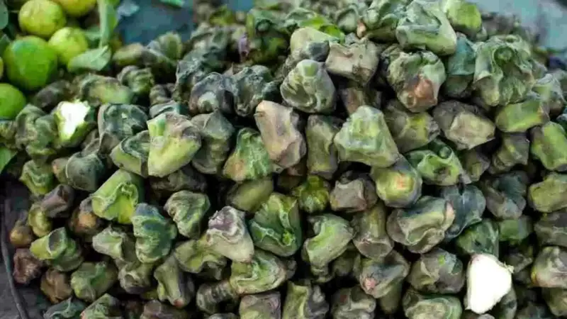 The Incredible Benefits of Water Caltrop: A Nutritional Powerhouse