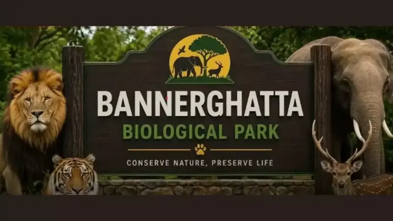 Bannerghatta Biological Park records ₹64 crore revenue, sees surge in visitors