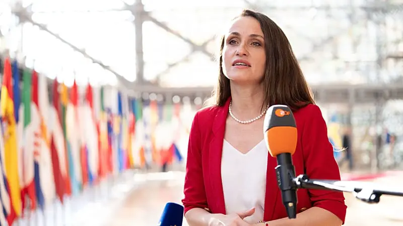 The drone crash is "the full responsibility of the Russian Federation", says Romanian FM