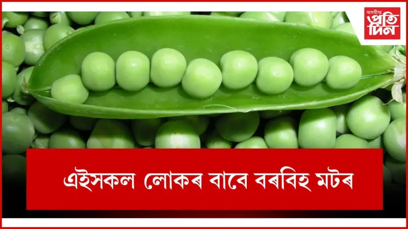 স্বাস্থ্যৰ সমস্যা ৰোধৰ বাবে মটৰ ত্যাগ কৰক