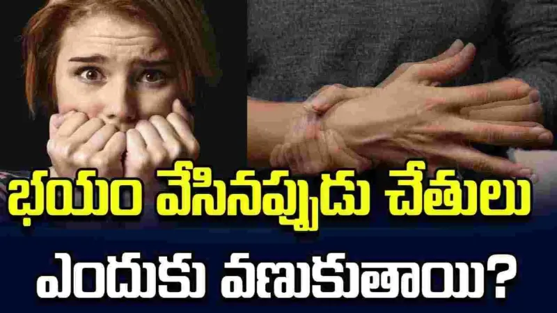 భయం వేసినప్పుడు చేతులు, కాళ్లు ఎందుకు వణుకుతాయో తెలుసా?