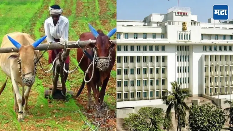 Gopinath Munde Farmer Accident Scheme : संकटात सापडलेल्या शेतकऱ्यांना आता 2 लाख रुपये मिळणार, नेमकी योजना काय?