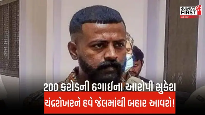 Sukesh Chandrashekhar Bail : મની લોન્ડરિંગ કેસમાં 'મહાઠગ' સુકેશ ચંદ્રશેખરને કોર્ટે આપ્યા જામીન