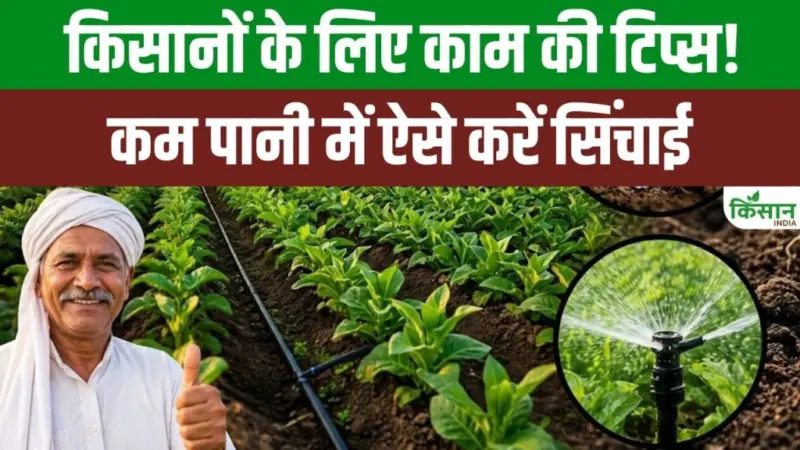 कम पानी में ज्यादा फसल पाने का आसान तरीका, ड्रिप सिंचाई से किसानों की लागत होगी कम