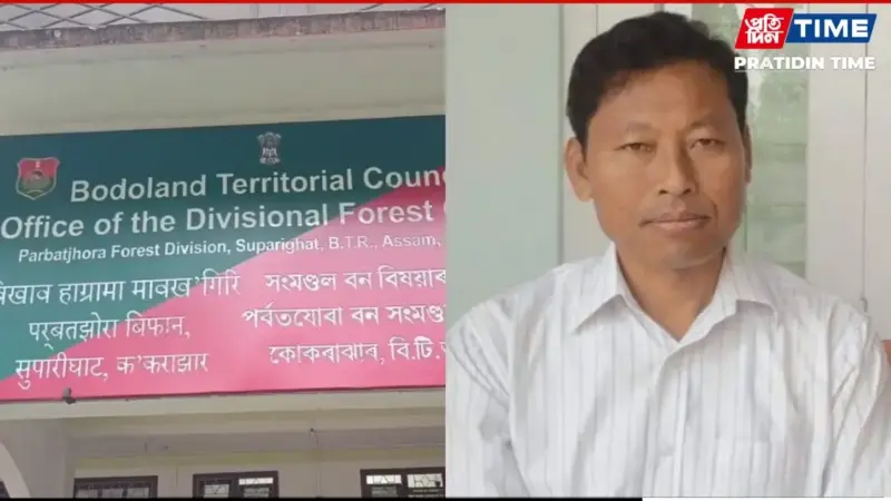 Assam: Parbatjhora DFO Caught Red-Handed Accepting Bribe, Arrested