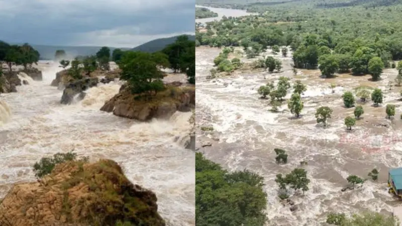 சில்லென்ற நீர்வீழ்ச்சி.. சிலிர்க்க வைக்கும் பரிசல் பயணம்: ஒகேனக்கல் சுற்றுலா செல்லத் தயாரா?