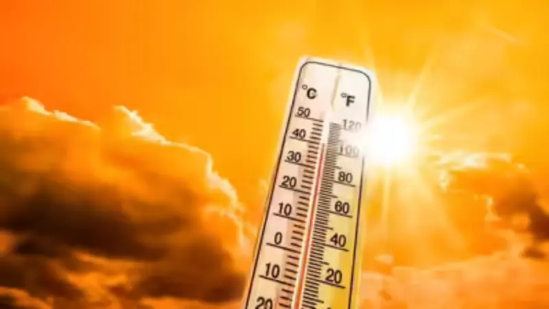 IMD Issues Heatwave Alert: Delhi Likely to Touch 43 Degree C; Severe Heatwave Warning Across North India