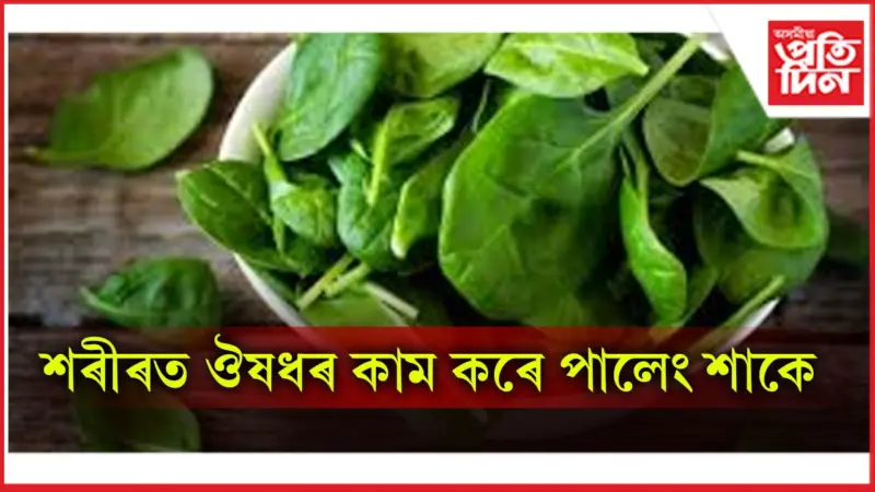 শীতৰ বতৰত সদায় খাওঁক পালেং শাক