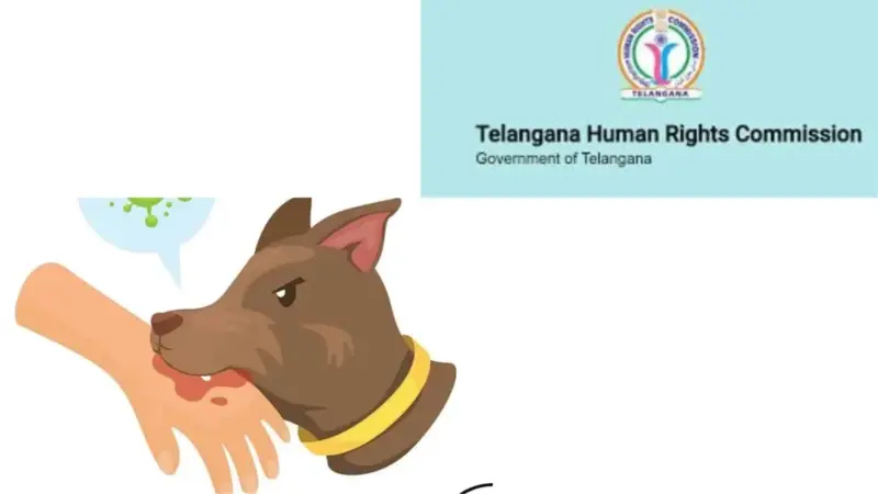 TGHRC takes suo motu cognisance of stray dog attacks in Telangana