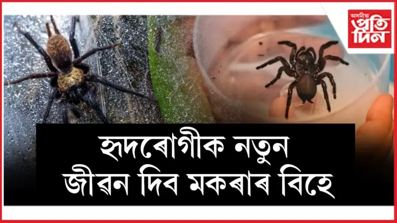 হাৰ্ট এটেক, ষ্ট্ৰ'কৰ চিকিৎসাত নতুন আশাৰ সঞ্চাৰ !