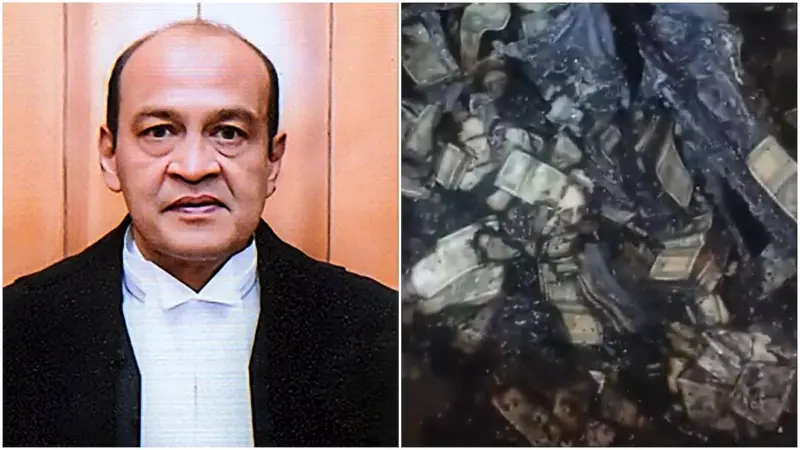 'History will record unfairness with which a sitting judge was treated': Justice Varma's letter to LS inquiry panel