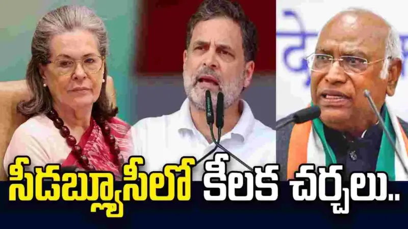 సీడబ్ల్యూసీలో పార్లమెంటు వ్యూహాలపై అగ్ర నేతల చర్చ