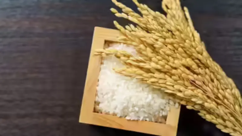 World's Most Expensive Rice Costs ₹12,000 Per Kg: Here's Why It's So Special