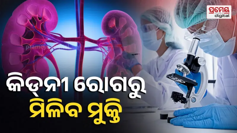 ଘାତକ କିଡ୍‌ନୀ ରୋଗରୁ ମିଳିବ ଆଶ୍ୱସ୍ତି, ନୂଆ ଔଷଧ ତିଆରି କରିଛନ୍ତି ବୈଜ୍ଞାନିକ