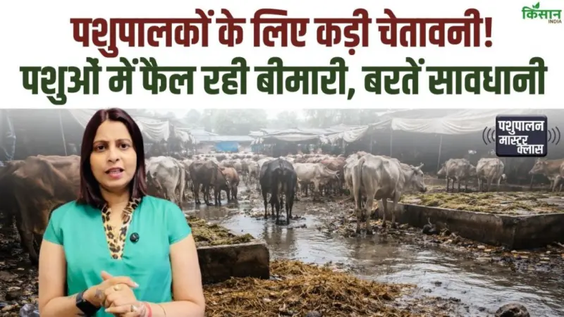 Alert: पशु बीमारियों का खतरा बढ़ा, कई पशुओं की मौत, पशुपालकों को सतर्क रहकर सावधानी बरतने की जरूरत
