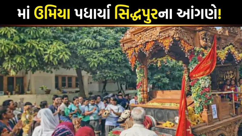 વિશ્વ ઉમિયા ફાઉન્ડેશન દ્વારા આયોજિત રથયાત્રાનો આજથી પ્રારંભ, 4 દિવસ ગામડે-ગામડે થશે પૂજન