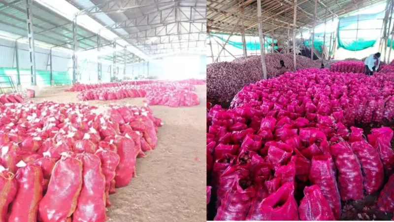 खाड़ी युद्ध का असर: महंगा हुआ ट्रांसपोर्ट, नासिक लासलगांव प्याज निर्यात 45% की भारी गिरावट