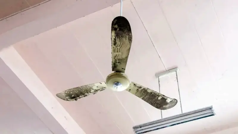 Ceiling Fan Dust : ఫ్యాన్ వేగంగా తిరిగినా దుమ్ము ఎందుకు వదలదు? దీని వెనుక ఉన్న అసక్తికరమైన సైన్స్ ఇదే!