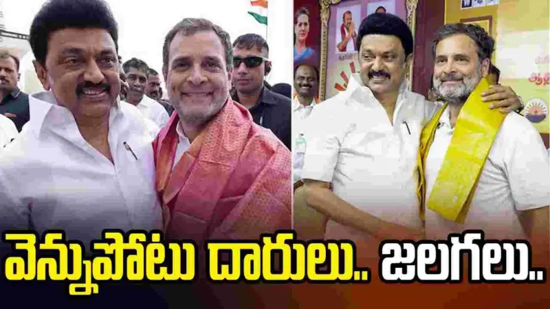 కాంగ్రెస్ వాళ్లని దరిదాపుల్లోకి రానివ్వొద్దు.. విజయ్‌కు మద్దతివ్వడంపై ఉదయనిధి ఆగ్రహం..