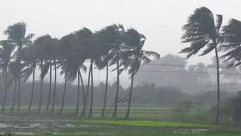 తాడిపత్రిలో గాలి వాన బీభత్సం